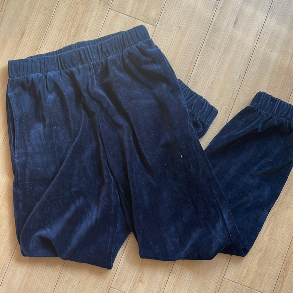 Velvet John Galt/ Brandy Melville sweatpants